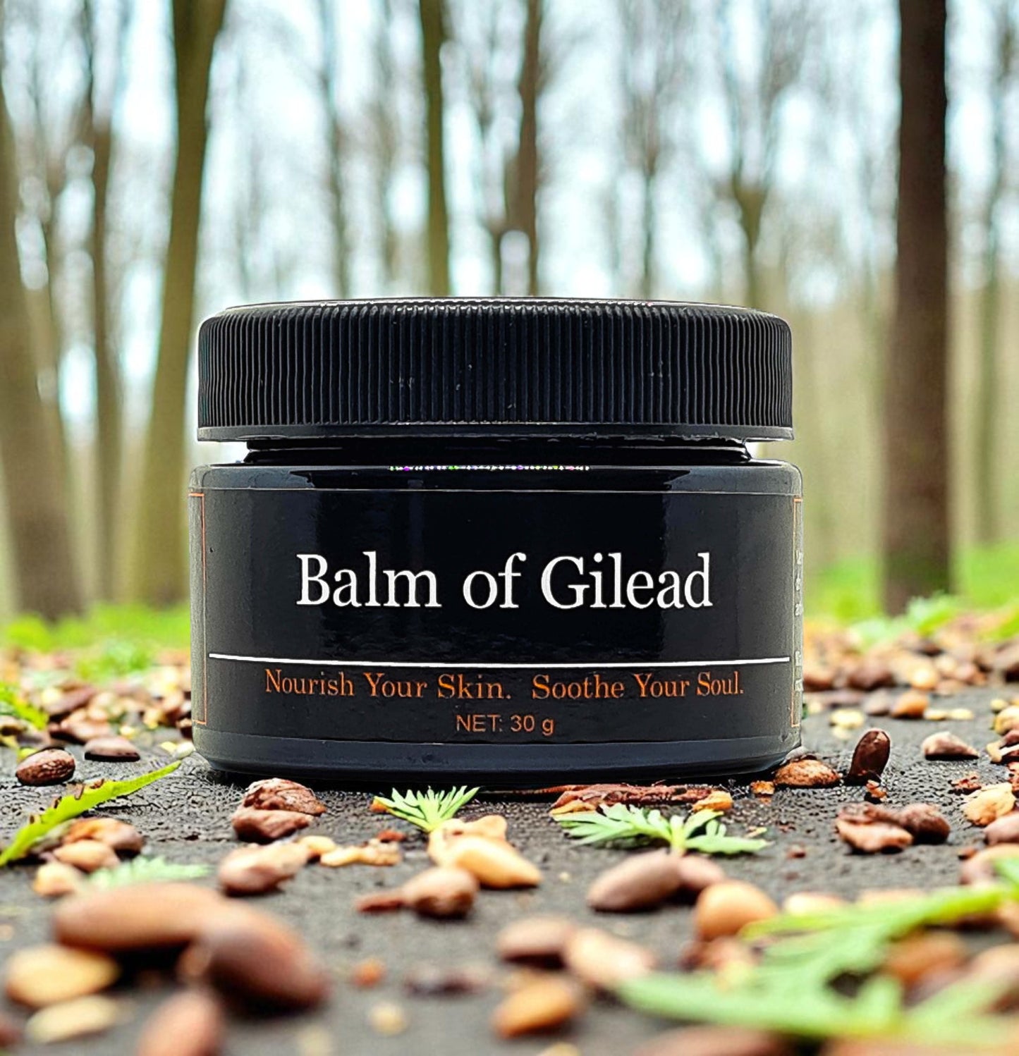 Balm of Gilead