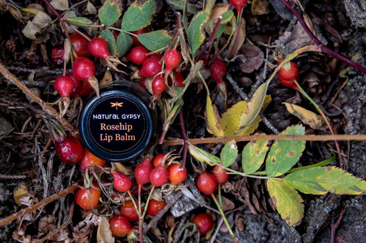 A small open container of 'Natural Gypsy' Rosehip Lip Balm placed on a surface with scattered rose hips and dry leaves.